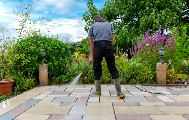Best Parking Lot and Garage Cleaning  in Lemmon Valley, NV