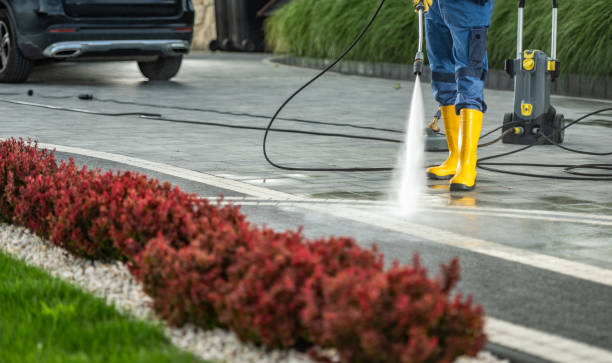 Best Dumpster Area Cleaning  in Lemmon Valley, NV